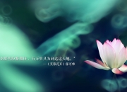 开云体育官网-南美宿命的血色黄昏，2026世界杯E组关键战，智利力克阿根廷，齐耶赫孤光破晓