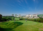 开云体育登录-专家预测高尔夫胜率超六成，结果成焦点的简单介绍