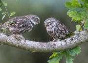 开云体育-唯一之战，曼联奇迹击败牙买加，美加墨世界杯焦点战惊现历史性对决