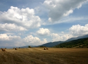 开云体育平台APP-克瓦拉茨赫利亚，越大的舞台，越响亮的哨音