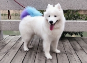 开云APP-半场演出秀，半场绞肉机—拉梅洛跨界对决中持续制造杀伤