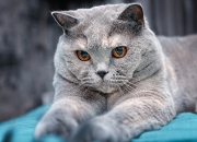 开云体育官网-时空折叠的决胜者，当永恒之城熄灭诺坎普，然后让一个巴西人接管了抢七