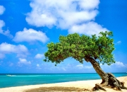 开云体育平台APP-库里时间降临麦迪逊，尼克斯连击风暴封锁雄鹿