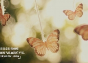 开云下载-王者归来，NBA季后赛之夜，莫兰特末节接管比赛的封神时刻