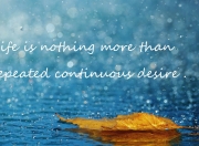 开云官网-东西部同时上演命运分叉路，76人强行终结篮网，福克斯孤星斩阵确立硬仗之王