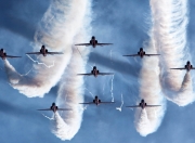 开云下载-绿茵权杖，厄瓜多尔以节奏之刃，雕刻美加墨焦点战的胜利轨迹