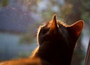 开云sport-跨越太平洋的篮球之火，当爱德华兹点燃一场不可能的相遇