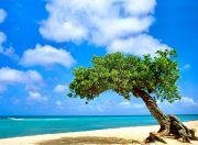 开云体育平台APP-平行宇宙的交叉点，当奥斯梅恩遇见古比斯