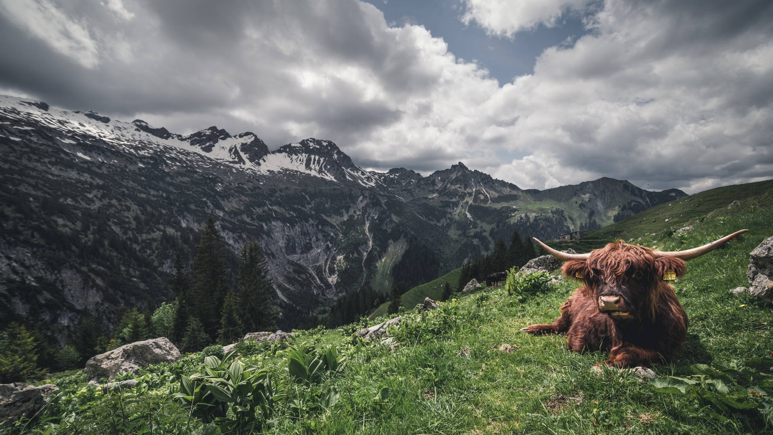 扛起全队与轻取对手,德布劳内和AC米兰的胜利之道
