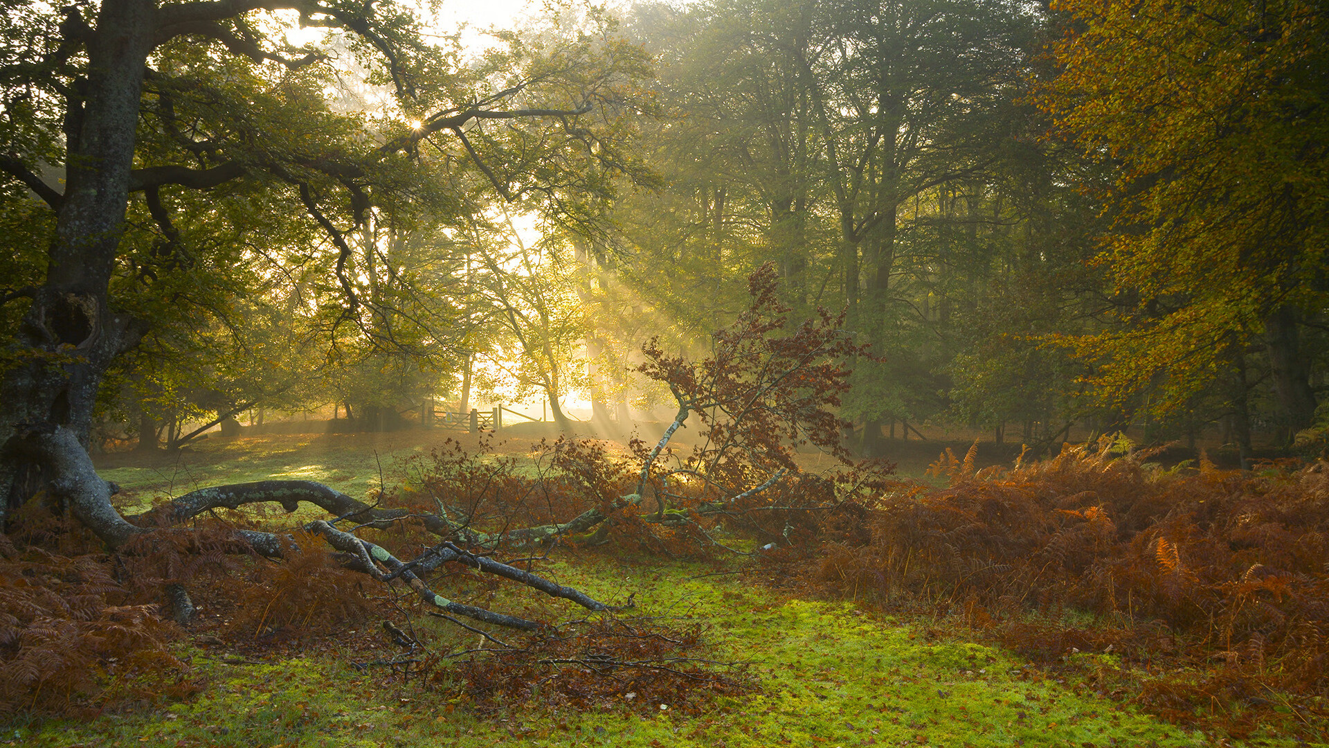 1.休城风暴,火箭末节一波流横扫国王,马克西演绎王者压制