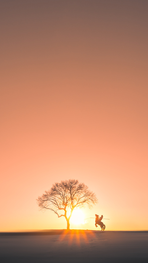当卡塔尔遇上土耳其,特奥化身禁区之王,一场个人英雄主义的绿茵盛宴