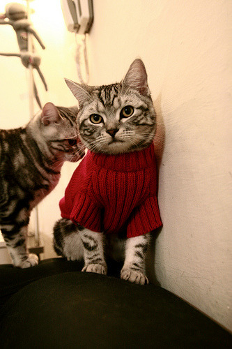 莫兰特撕裂洛城德比,当个人英雄主义撕碎战术版