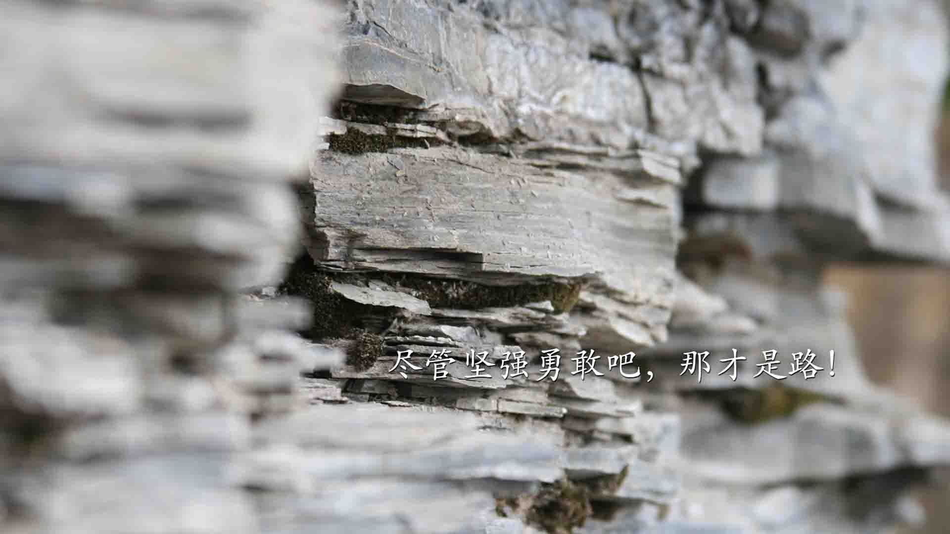 当东契奇与奇才爵士对决,一场错位的决胜局狂想