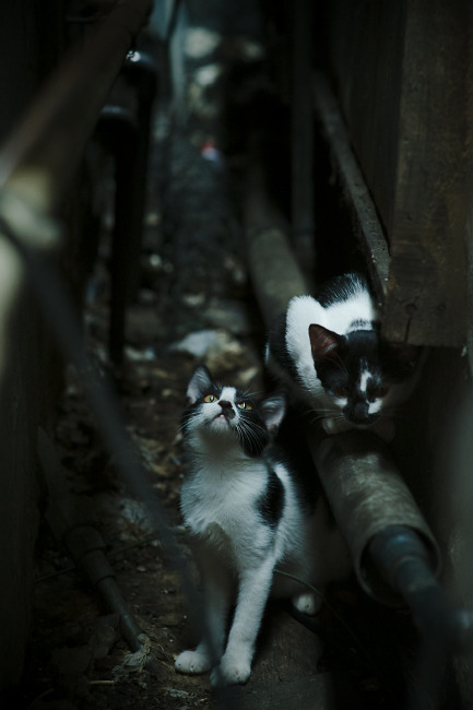 钢铁丛林与爱琴海,当广东的铜墙铁壁遇见密尔沃基的海啸