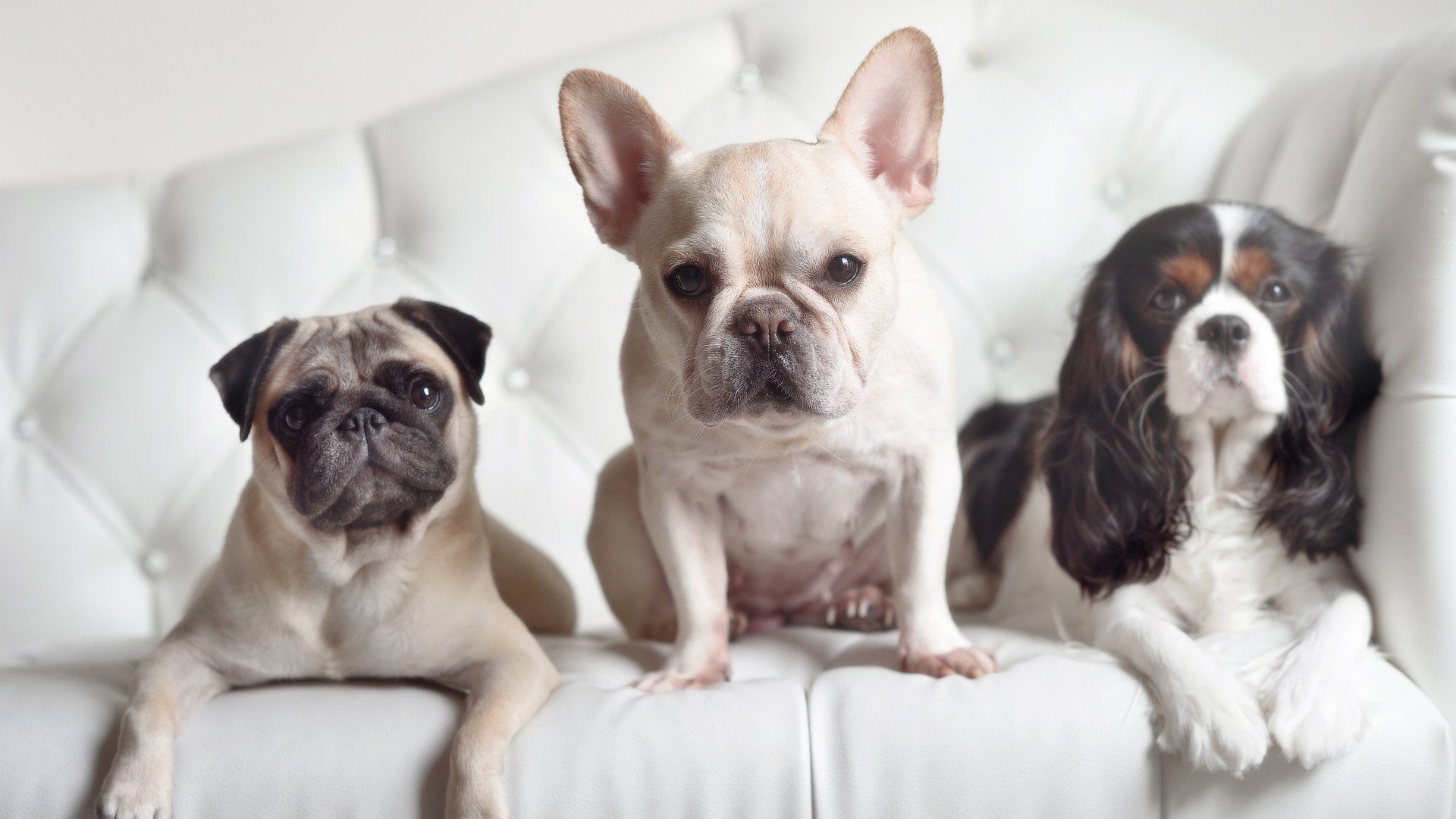 阿根廷奔袭伯纳纳乌,皇马用铁幕回应