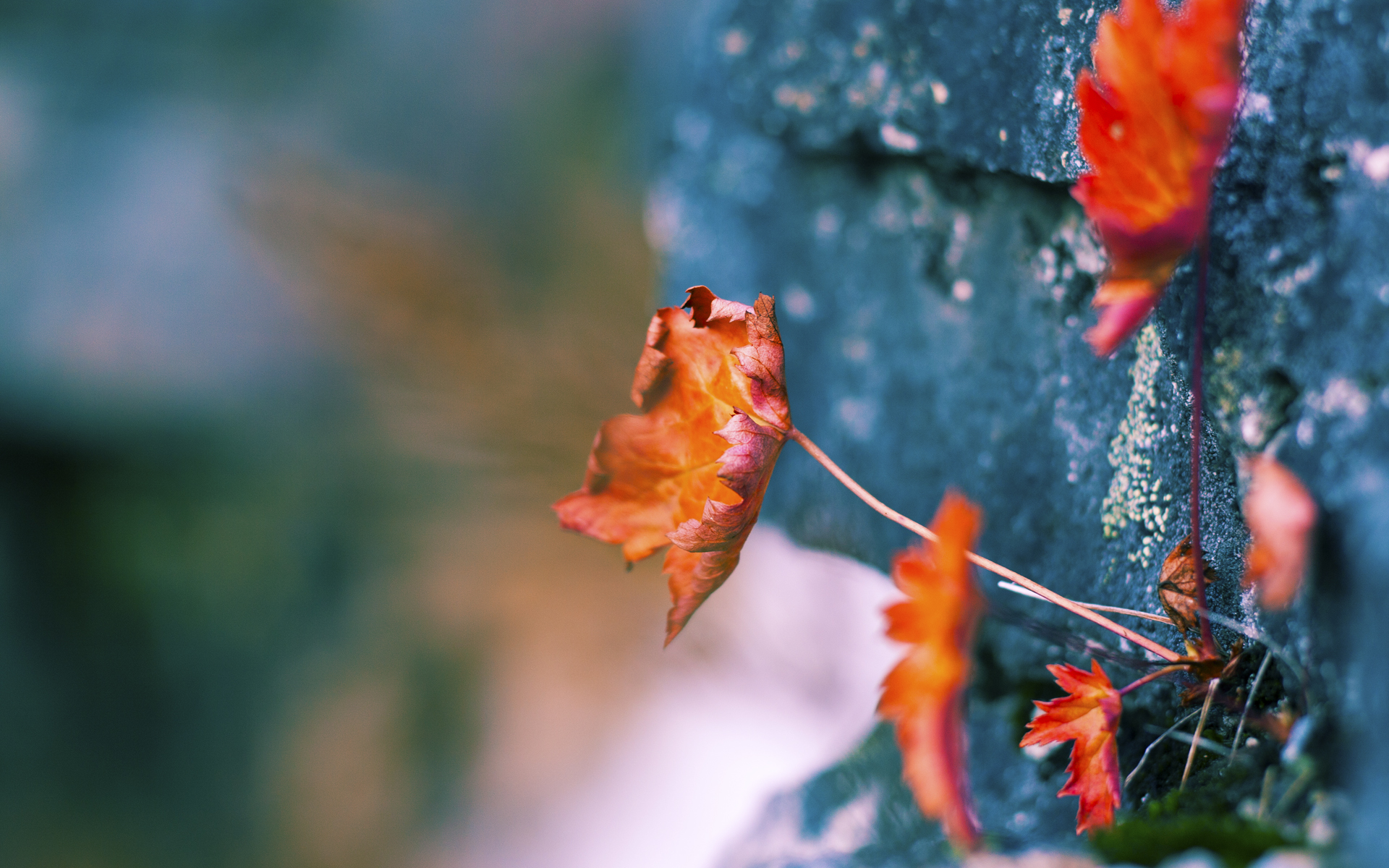 唯一，骑士压哨的审判与哈登虚拟世界的接管