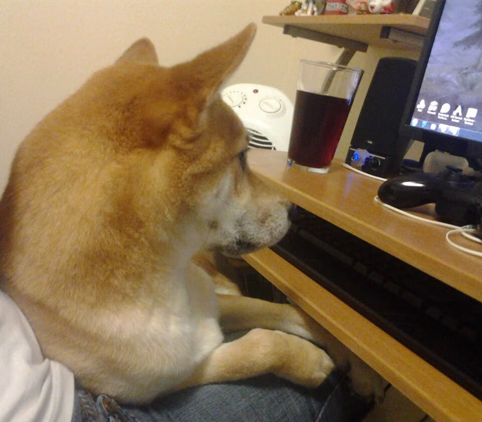 爱尔兰绿荫对阵红魔之魂，迪巴拉在国家德比中的华丽独奏