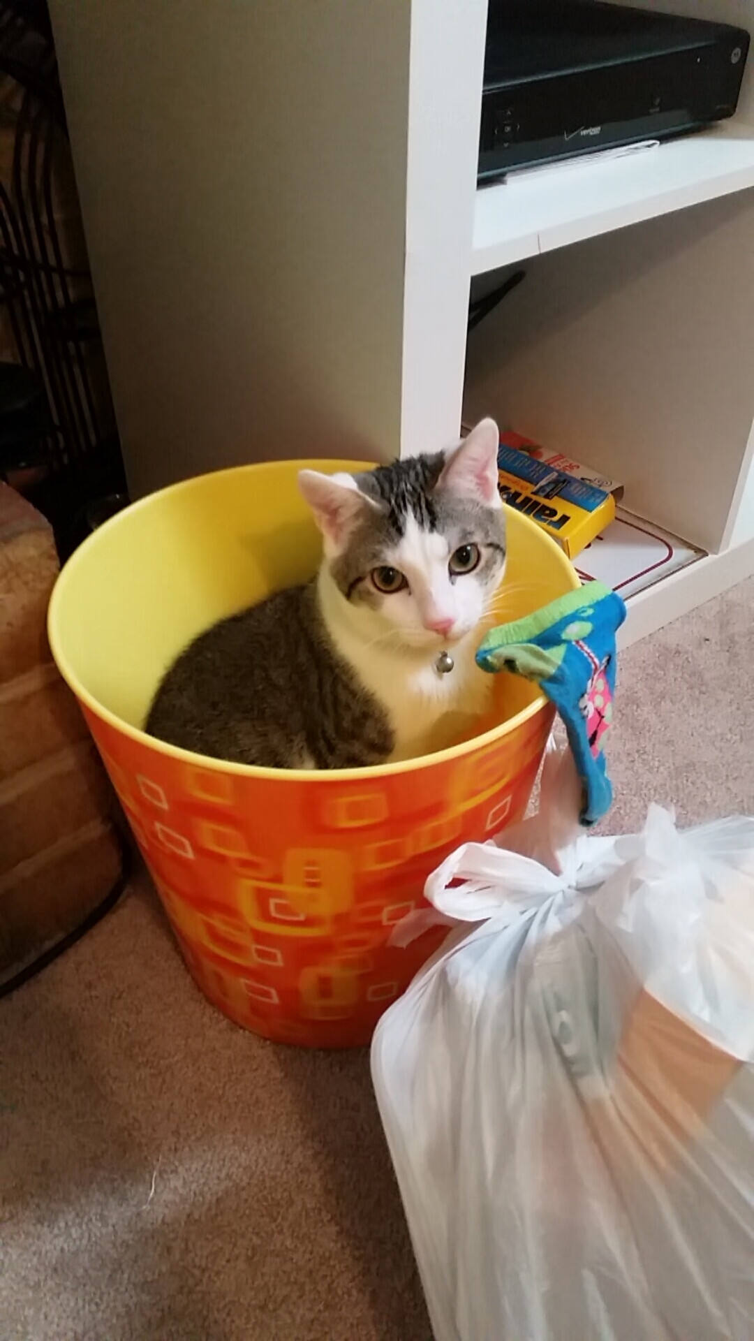 铁血与灵巧的胜利，西亚卡姆如何撕开魔术防线，成为凯尔特人晋级关键先生