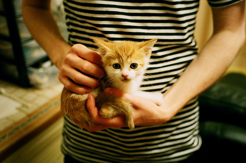 冰封面孔与致命雷霆，伦纳德如何斩断公牛的宿命之战