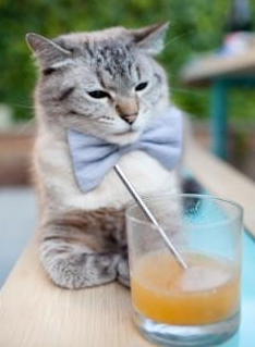 封印破除，诸神黄昏，哈兰德在欧冠淘汰赛之夜的唯一性解答