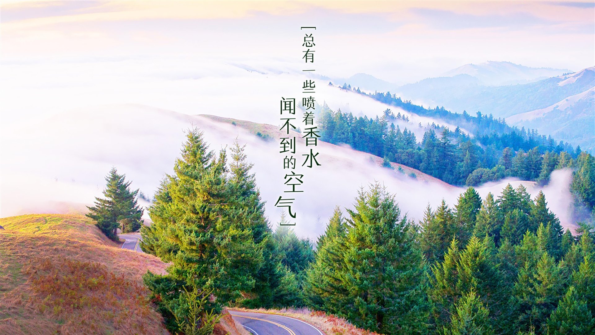 2026世界杯H组生死战，蓝衣军团力克太极虎，苏亚雷斯神锋再现燃爆全场