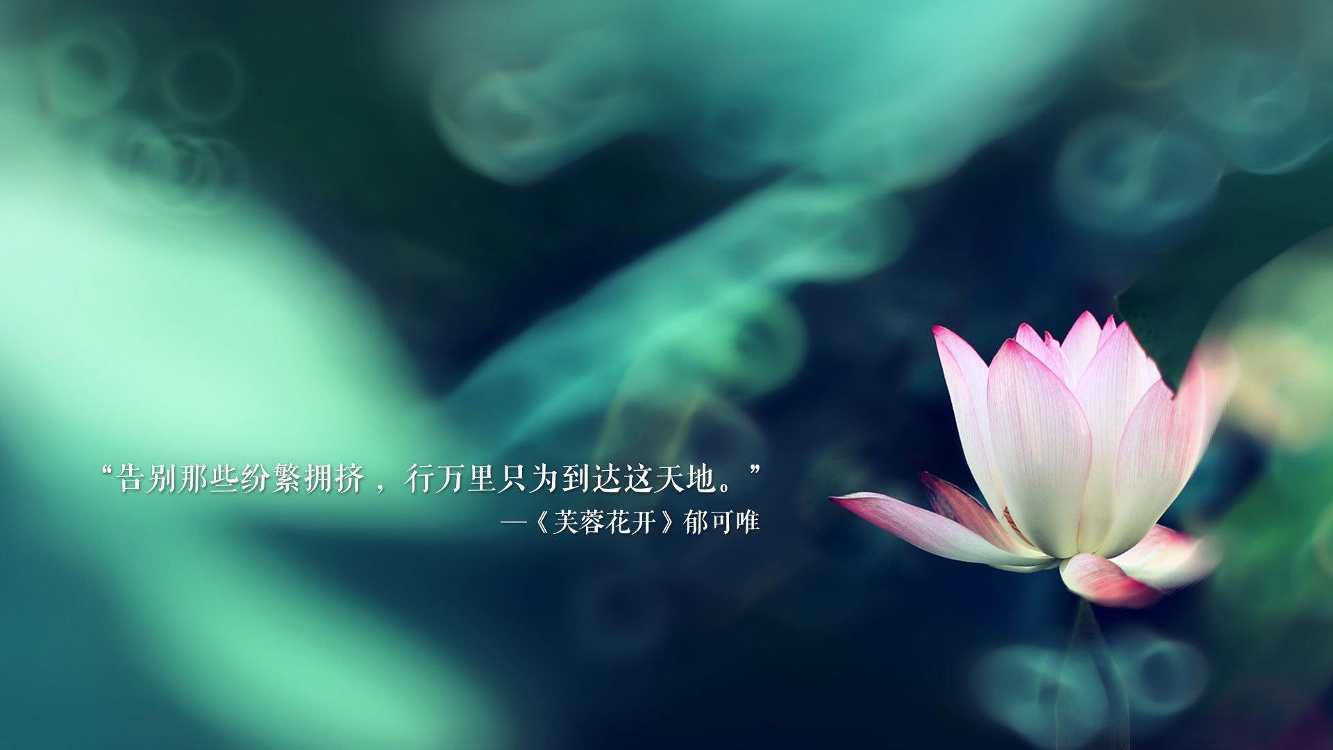 南美宿命的血色黄昏,2026世界杯E组关键战,智利力克阿根廷,齐耶赫孤光破晓